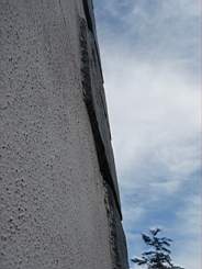 christchurch - 4290.jpg